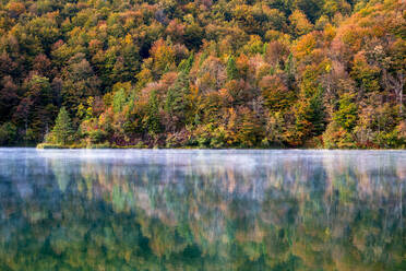 Details zum Herbst im Nationalpark Plitvicer Seen, UNESCO-Welterbe, Kroatien, Europa - RHPLF10493
