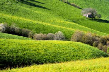 Hügel von Bergamo im Frühling, Provinz Bergamo, Region Lombardei, Italien, Europa - RHPLF10494