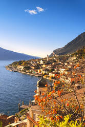 Limone sul Garda, Lake Garda, Brescia province, Lombardy district, Italian Lakes, Italy, Europe - RHPLF10510