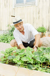 Mann arbeitet im Garten - JOHF00504