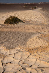 Baked white clay creates surreal pathway in the desert near the infamous Skeleton Coast, Namibia, Africa - RHPLF10537