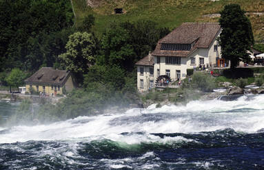 Wildwasser auf dem Rhein am Rheinfall, bei Schauffhausen, Schweiz, Europa - RHPLF10561