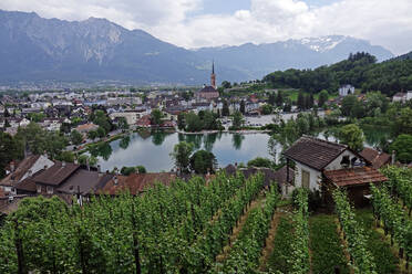 Blick über Werdenberg und den Werdenbergersee, St. Gallen, Schweiz, Europa - RHPLF10563