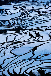 Duoyishu Rice Terraces at dawn, UNESCO World Heritage Site, Yuanyang, Yunnan Province, China, Asia - RHPLF10567
