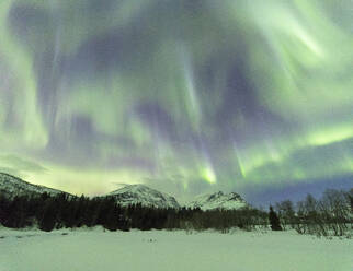 Panorama des Nordlichts (Aurora borealis), Skoddebergvatnet, Grovfjord, Bezirk Troms, Lofoten, Nordland, Norwegen, Europa - RHPLF10584