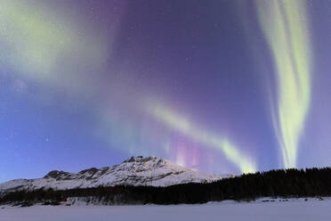 Nordlicht (Aurora borealis), Skoddebergvatnet, Grovfjord, Bezirk Troms, Lofoten, Nordland, Norwegen, Europa - RHPLF10588