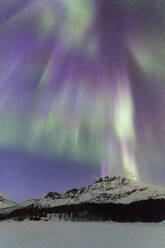 Nordlicht (Aurora borealis), Skoddebergvatnet, Grovfjord, Bezirk Troms, Lofoten, Nordland, Norwegen, Europa - RHPLF10589