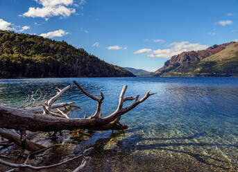 Munoz-Strand, Gutierrez-See, Nahuel Huapi-Nationalpark, Provinz Rio Negro, Argentinien, Südamerika - RHPLF10642