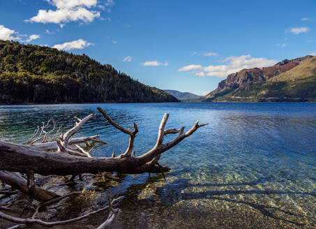 Munoz-Strand, Gutierrez-See, Nahuel Huapi-Nationalpark, Provinz Rio Negro, Argentinien, Südamerika - RHPLF10642