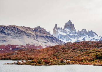 Berg Fitz Roy, Nationalpark Los Glaciares, UNESCO-Welterbe, Provinz Santa Cruz, Patagonien, Argentinien, Südamerika - RHPLF10663