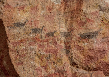 Cueva de las Manos, UNESCO-Weltkulturerbe, Rio Pinturas-Schlucht, Provinz Santa Cruz, Patagonien, Argentinien, Südamerika - RHPLF10668