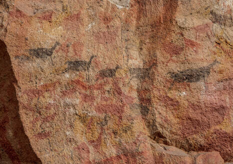 Cueva de las Manos, UNESCO-Weltkulturerbe, Rio Pinturas-Schlucht, Provinz Santa Cruz, Patagonien, Argentinien, Südamerika - RHPLF10668