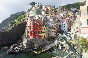 Bunte Gebäude am Meer, Riomaggiore, Cinque Terre, UNESCO-Weltkulturerbe, Ligurien, Italien, Europa - RHPLF10730