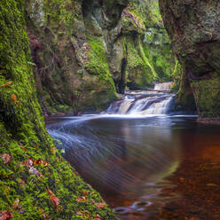 Die Schlucht von Finnich Glen (Devils Pulpit) bei Killearn, Stirlingshire, Schottland, Vereinigtes Königreich, Europa - RHPLF10743