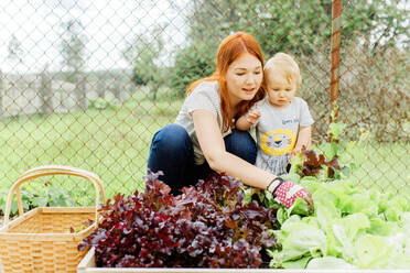 Mother with baby boy working in garden - JOHF00505