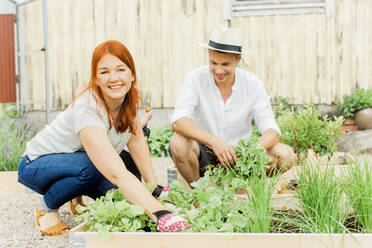 Junges Paar arbeitet im Garten - JOHF00510