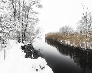 Tranquil view of river in forest - JOHF00526