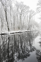 Tranquil view of river in forest - JOHF00527