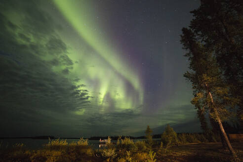Das Nordlicht (Aurora Borealis) am Nachthimmel über dem Egenolfsee im Norden Manitobas, Kanada, Nordamerika - RHPLF10776