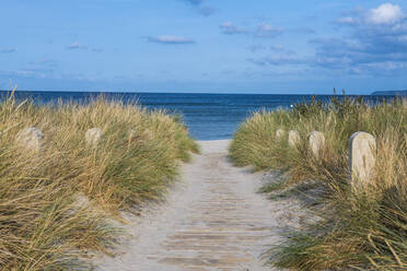 Breege Strand, Rügen, Mecklenburg-Vorpommern, Deutschland, Europa - RHPLF10814