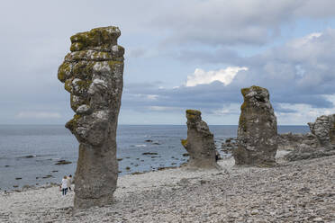 Einzigartige Schornsteine von Langhammars, Faro, Gotland, Schweden, Skandinavien, Europa - RHPLF10821