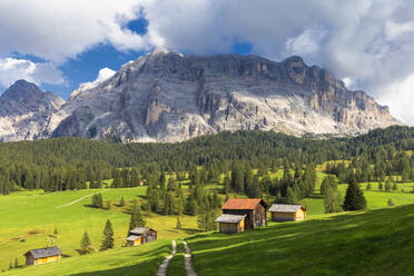 Hütten von Prati Armentara, La Val (Wengen), Gadertal, Südtirol, Dolomiten, Italien, Europa - RHPLF10865