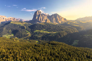 Elevated view of the forest above Gardena Valley with view on Sassolungo Group, South Tyrol, Dolomites, Italy, Europe - RHPLF10894