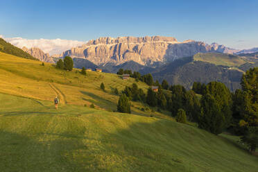 Wanderer wandert auf der Alm mit der Sellagruppe im Hintergrund, Grödnertal, Südtirol, Dolomiten, Italien, Europa - RHPLF10900