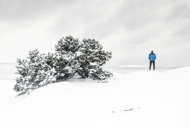 Winter landscape - JOHF00699