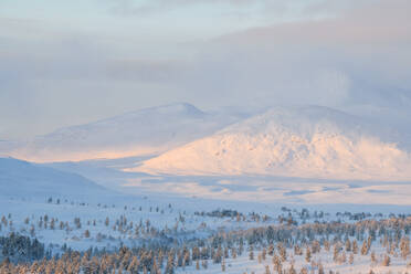 Winter landscape - JOHF00703