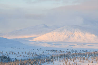 Winterlandschaft - JOHF00703