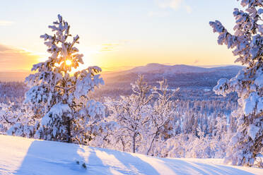 Winterlandschaft bei Sonnenuntergang - JOHF00705