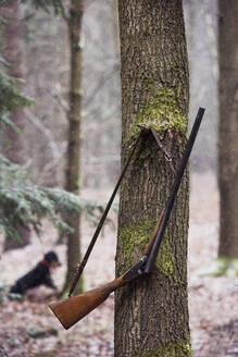 Riffel am Baum hängend - JOHF00753