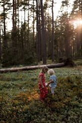 Kids in forest - JOHF00810