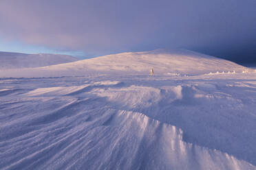 Dämmerung in verschneiter Landschaft, Pallas-Yllastunturi-Nationalpark, Muonio, Lappland, Finnland, Europa - RHPLF10989