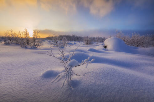 Sonnenuntergang auf dem Wald mit Schnee bedeckt, Muonio, Lappland, Finnland, Europa - RHPLF10996