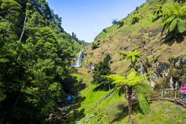 Beautiful valley in Achada, Island of Sao Miguel, Azores, Portugal, Atlantic, Europe - RHPLF11033