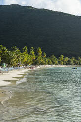 Blick auf Palmen, die am Strand vor einem Berg wachsen, Tortola, Britische Jungferninseln - RUNF03137