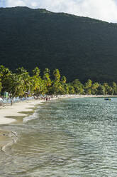 Scenic view of palm trees growing at beach against mountain, Tortola, British Virgin Islands - RUNF03137