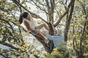 Mother and daughter having fun, climbing a tree - JOSF03771