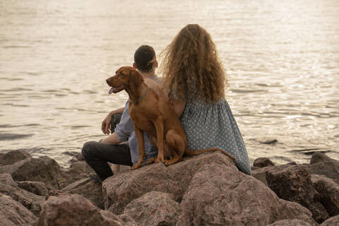 Young couple with dog at the beach in the evening stock photo