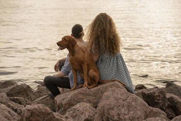 Young couple with dog at the beach in the evening - VPIF01502