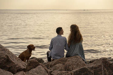 Young couple with dog at the beach in the evening - VPIF01503