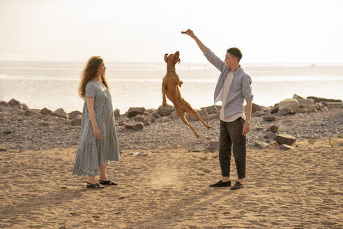 Junges Paar mit Hund am Strand, springender Hund - VPIF01519