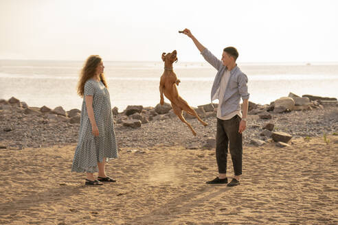 Young couple with dog at the beach, dog jumping - VPIF01519