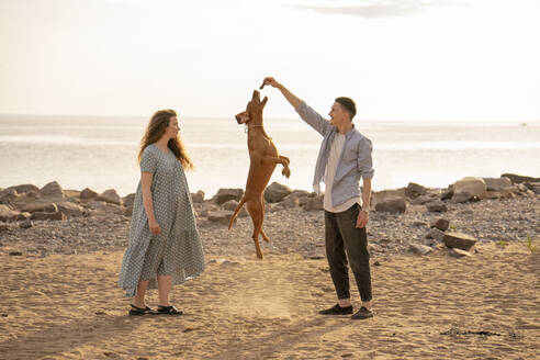 Young couple with dog at the beach, dog jumping - VPIF01520