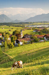 Blick von der Aidlinger Höhe über Aidling zum Wettersteingebirge und zur Zugspitze, Oberbayern, Bayerische Alpen, Bayern, Deutschland, Europa - RHPLF11123