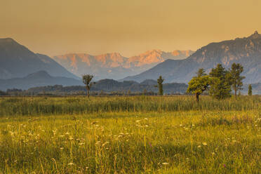 Murnauer Moor, Murnauer Moos mit Zugspitze und Wettersteingebirge bei Sonnenaufgang, Oberbayern, Bayern, Deutschland, Europa - RHPLF11126