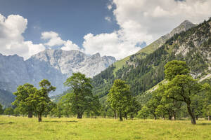 Großer Ahornboden, Ahornbäume, Karwendelgebirge, Naturschutzgebiet, Eng, Hinterriss, Tirol, Österreich, Europa - RHPLF11127