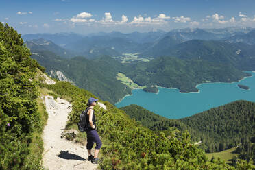 Hiker enjoying the view to Walchensee Lake on trail to Herzogstand mountain, Upper Bavaria, Bavaria, Germany, Europe - RHPLF11139
